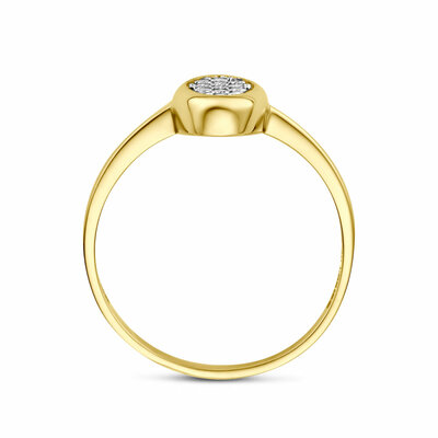 ring zirkonia