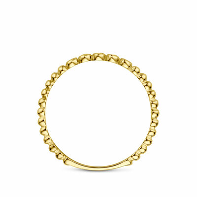 ring zirkonia