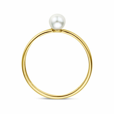 ring parel