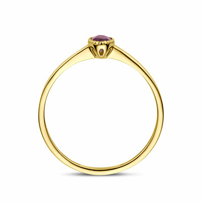 ring robijn