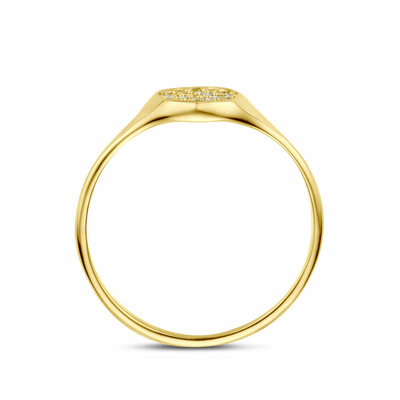 ring zirkonia