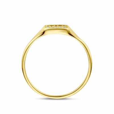 ring zirkonia