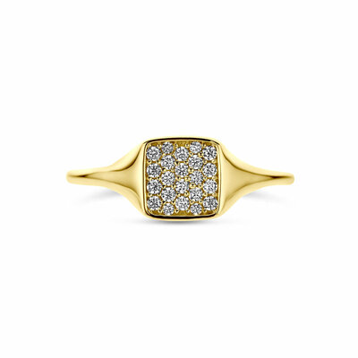 ring zirkonia