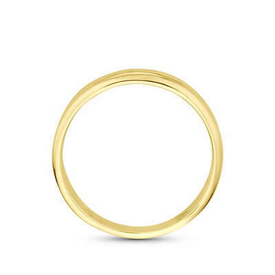 ring zirkonia