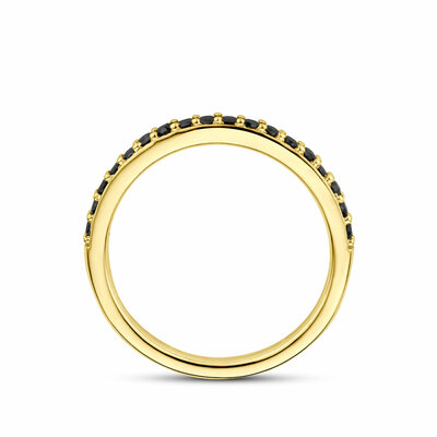 ring zwart diamant 0.31ct a a