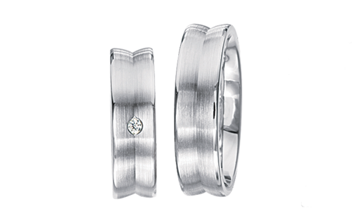 Zilveren Ringen