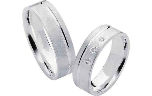 Zilveren Ringen