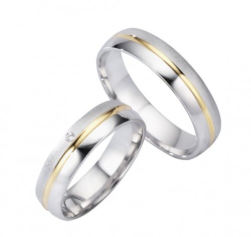 Goud  met Zilveren Ringen