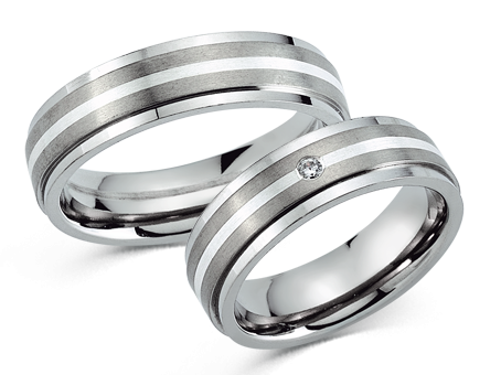 Titanium Ringen met Zilver
