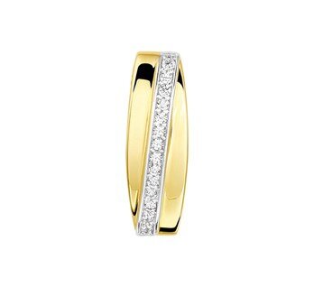 Hanger geel goud zirkonia