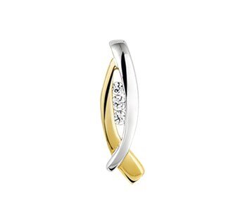 Hanger geelgoud & witgoud zirkonia