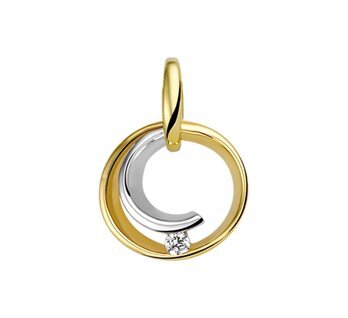 Hanger geelgoud & witgoud zirkonia