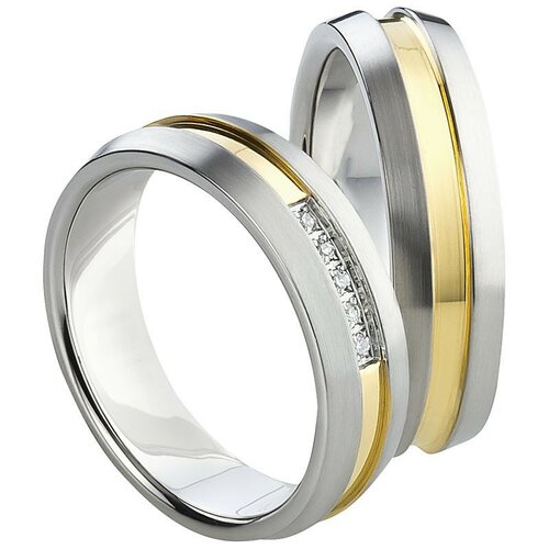 Stalen Ringen Bicolor