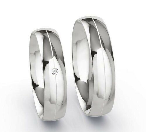 Edelstalen ringen