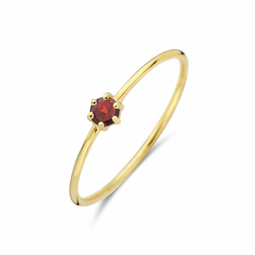ring met geboortesteen granaat  januari